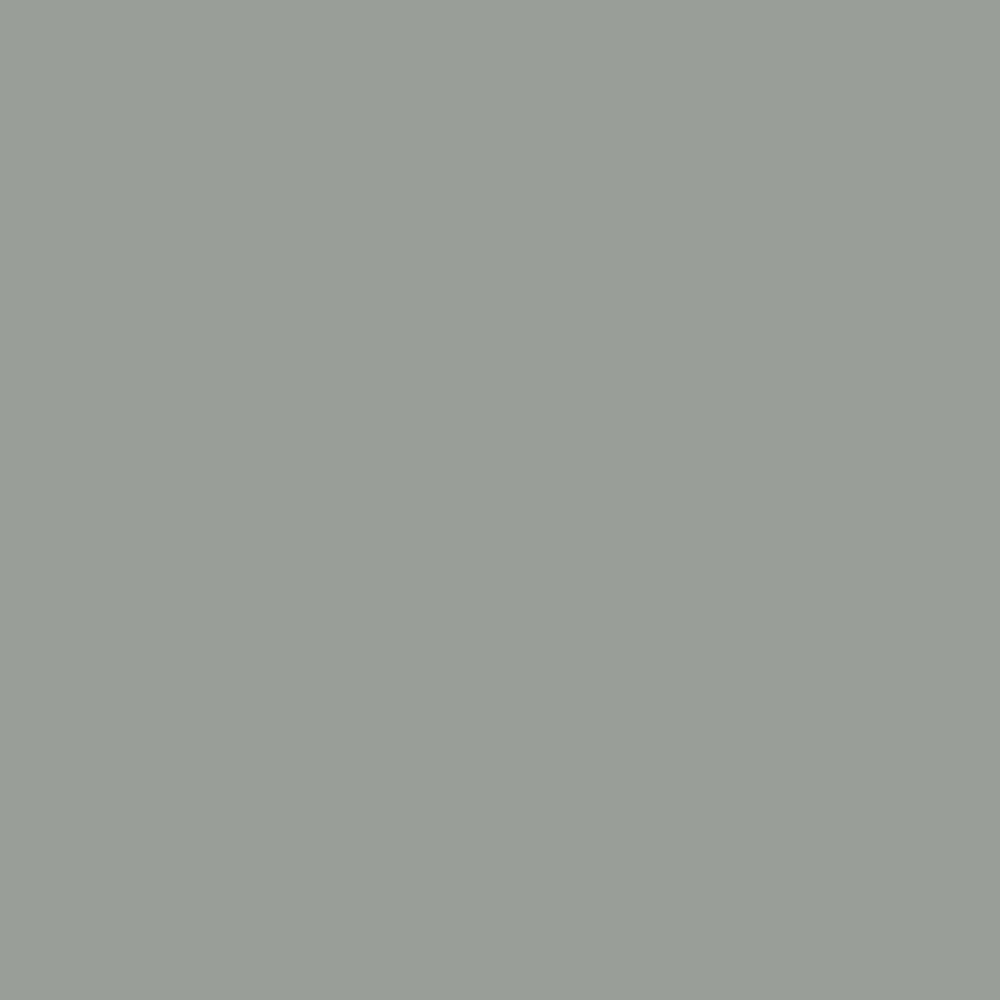 Pantone TPG Sheet 16-5904 Wrought Iron