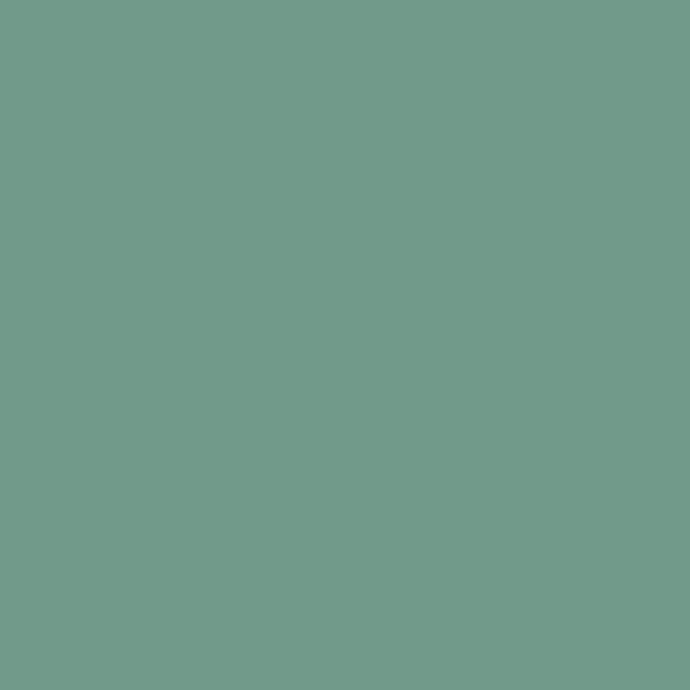 Pantone TPG Sheet 16-5917 Malachite Green