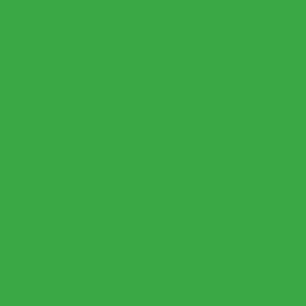 Pantone TPG Sheet 16-6340 Classic Green