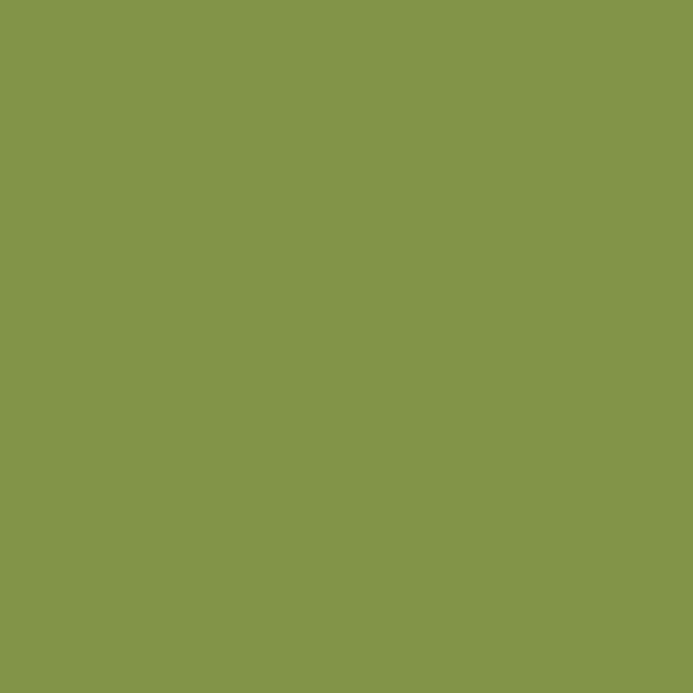 Pantone TPG Sheet 17-0336 Peridot