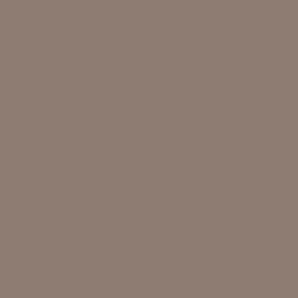 Pantone TPG Sheet 17-0808 Taupe Gray