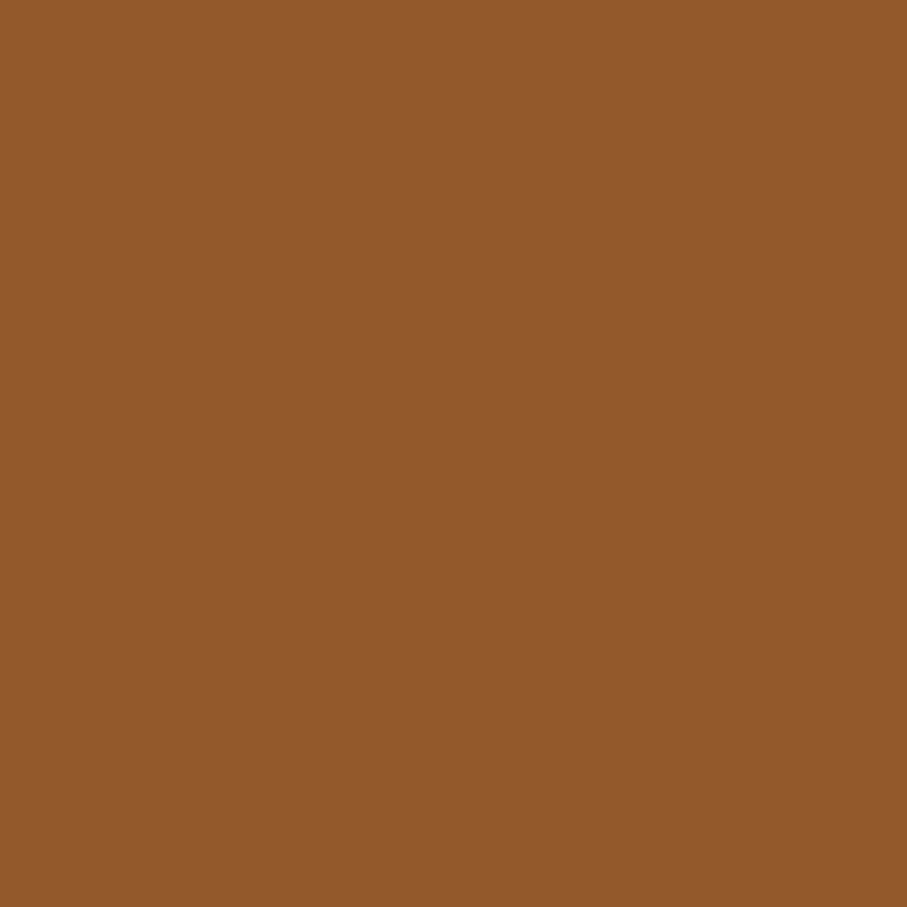 Pantone TPG Sheet 17-1052 Roasted Pecan