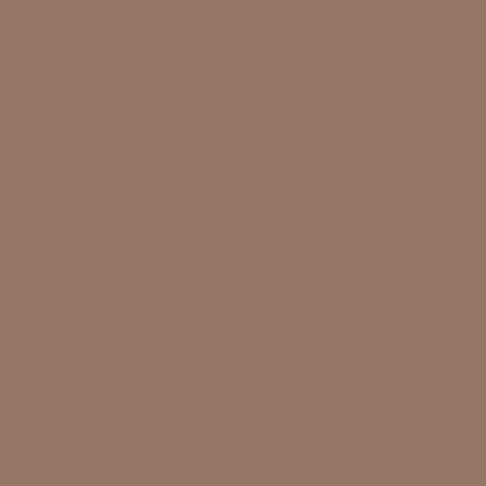 Pantone TPG Sheet 17-1321 Woodsmoke