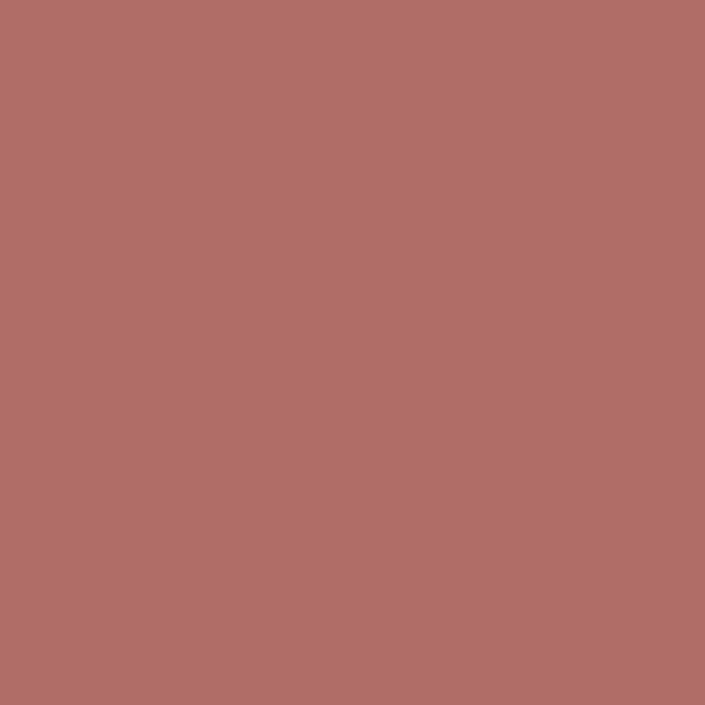 Pantone TPG Sheet 17-1520 Canyon Rose