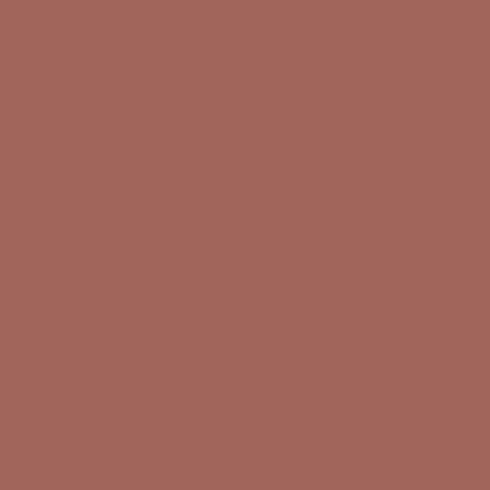 Pantone TPG Sheet 17-1525 Cedar Wood