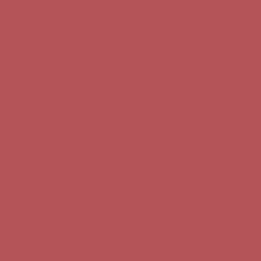 Pantone TPG Sheet 17-1537 Mineral Red