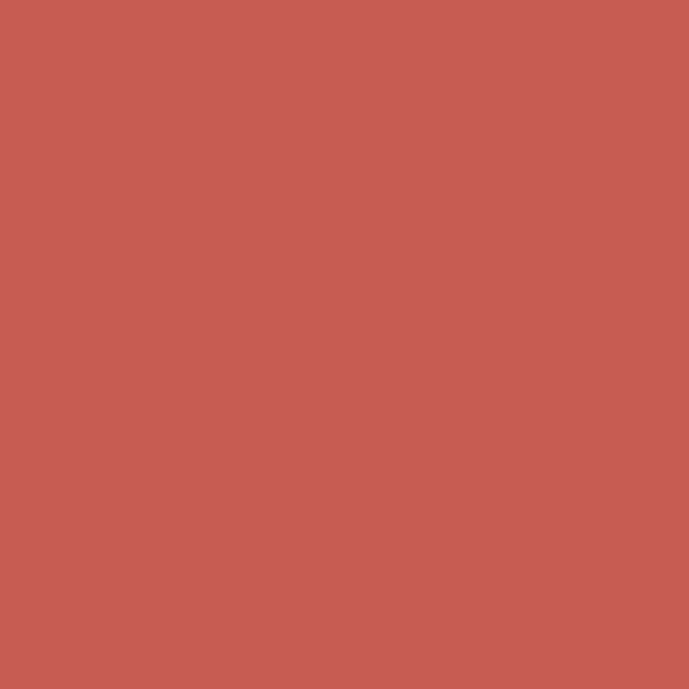 Pantone TPG Sheet 17-1544 Burnt Sienna