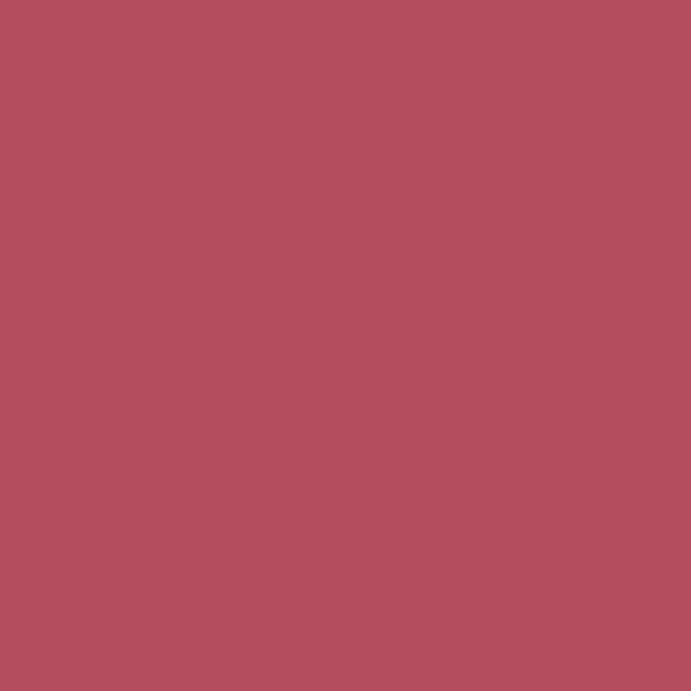 Pantone TPG Sheet 17-1633 Holly Berry