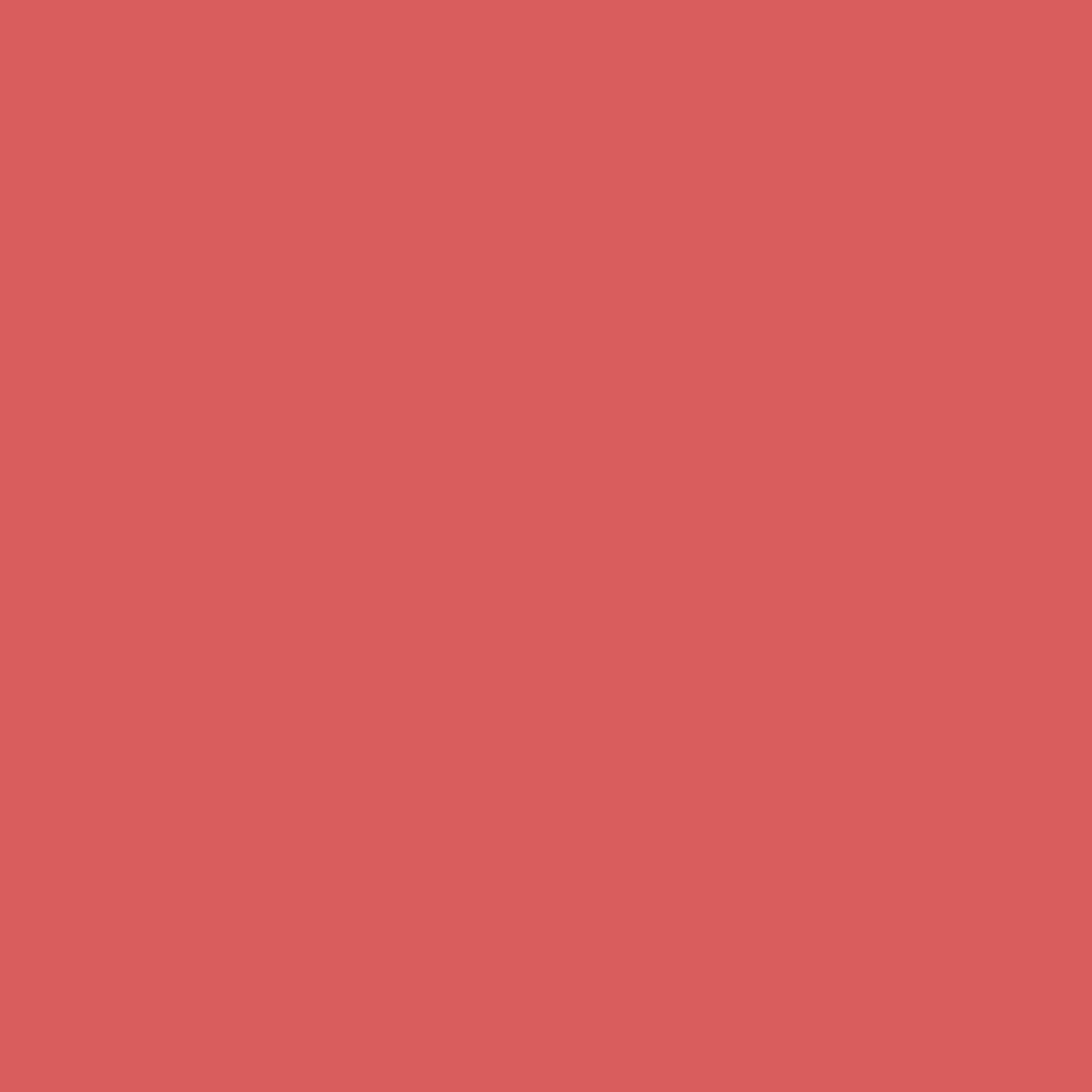 Pantone TPG Sheet 17-1644 Spiced Coral