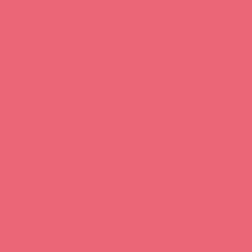 Pantone TPG Sheet 17-1736 Sun Kissed Coral