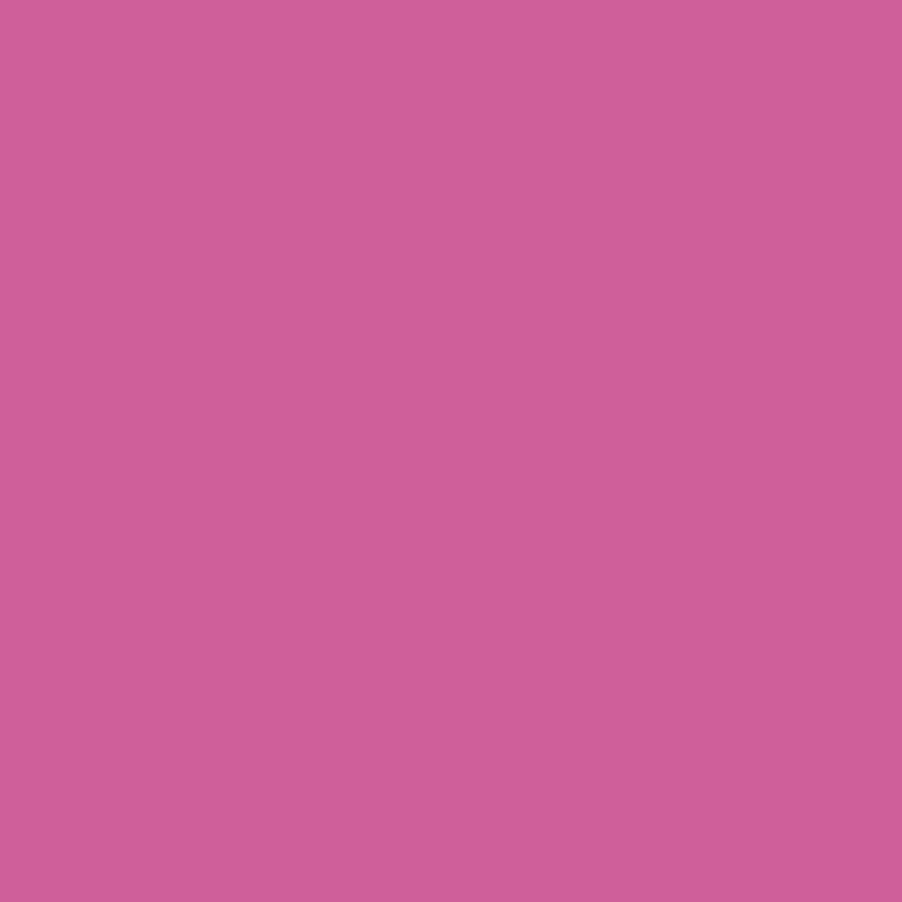 Pantone TPG Sheet 17-2627 Phlox Pink