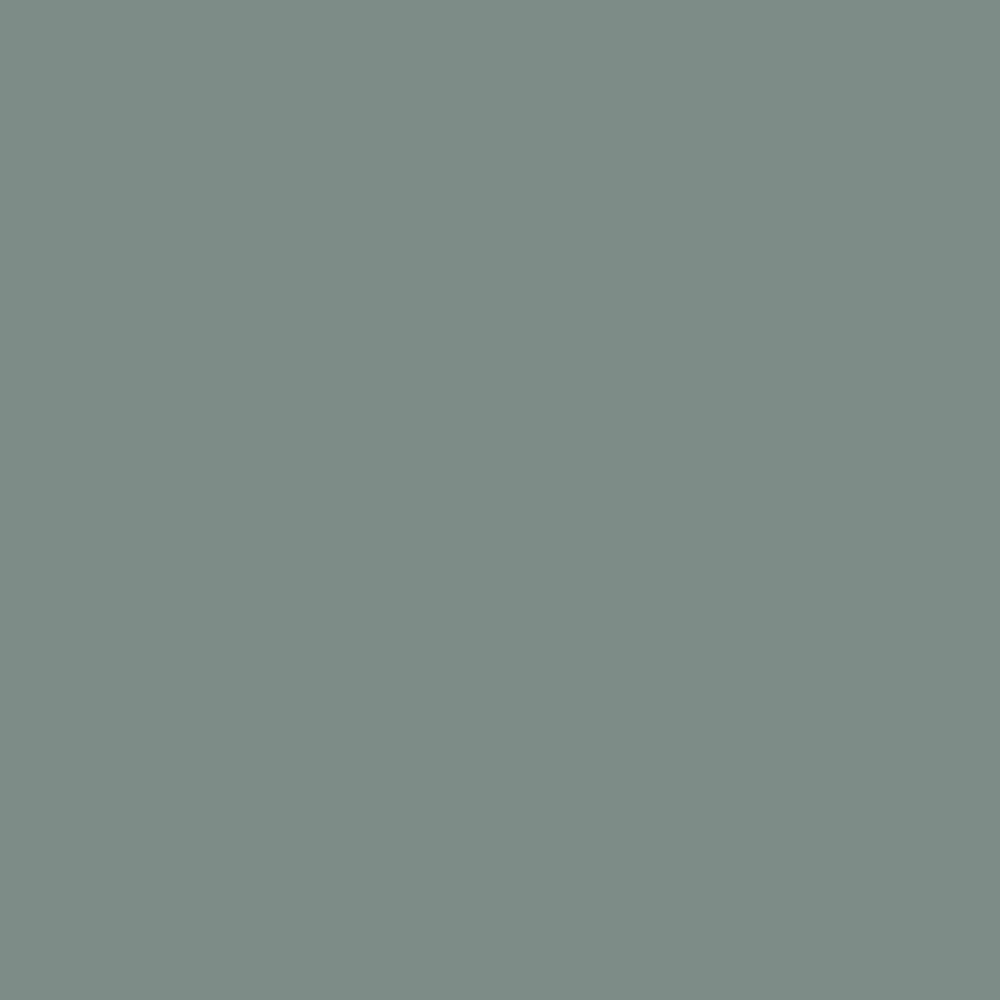 Pantone TPG Sheet 17-5107 Chinois Green