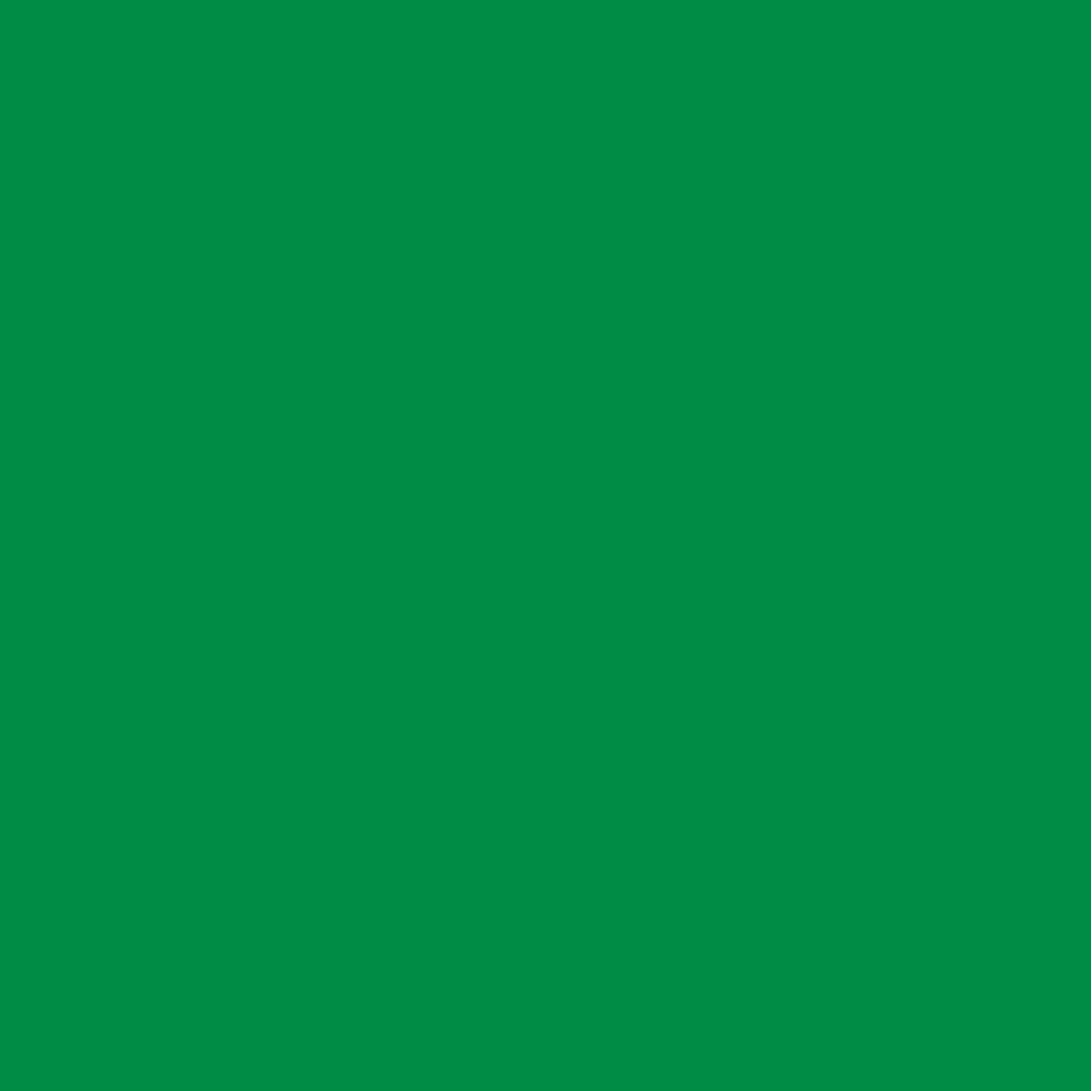 Pantone TPG Sheet 17-6153 Fern Green