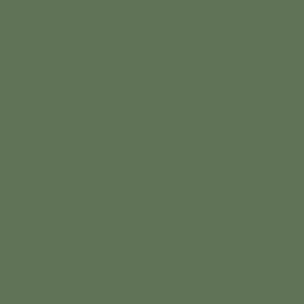 Pantone TPG Sheet 18-0117 Vineyard Green