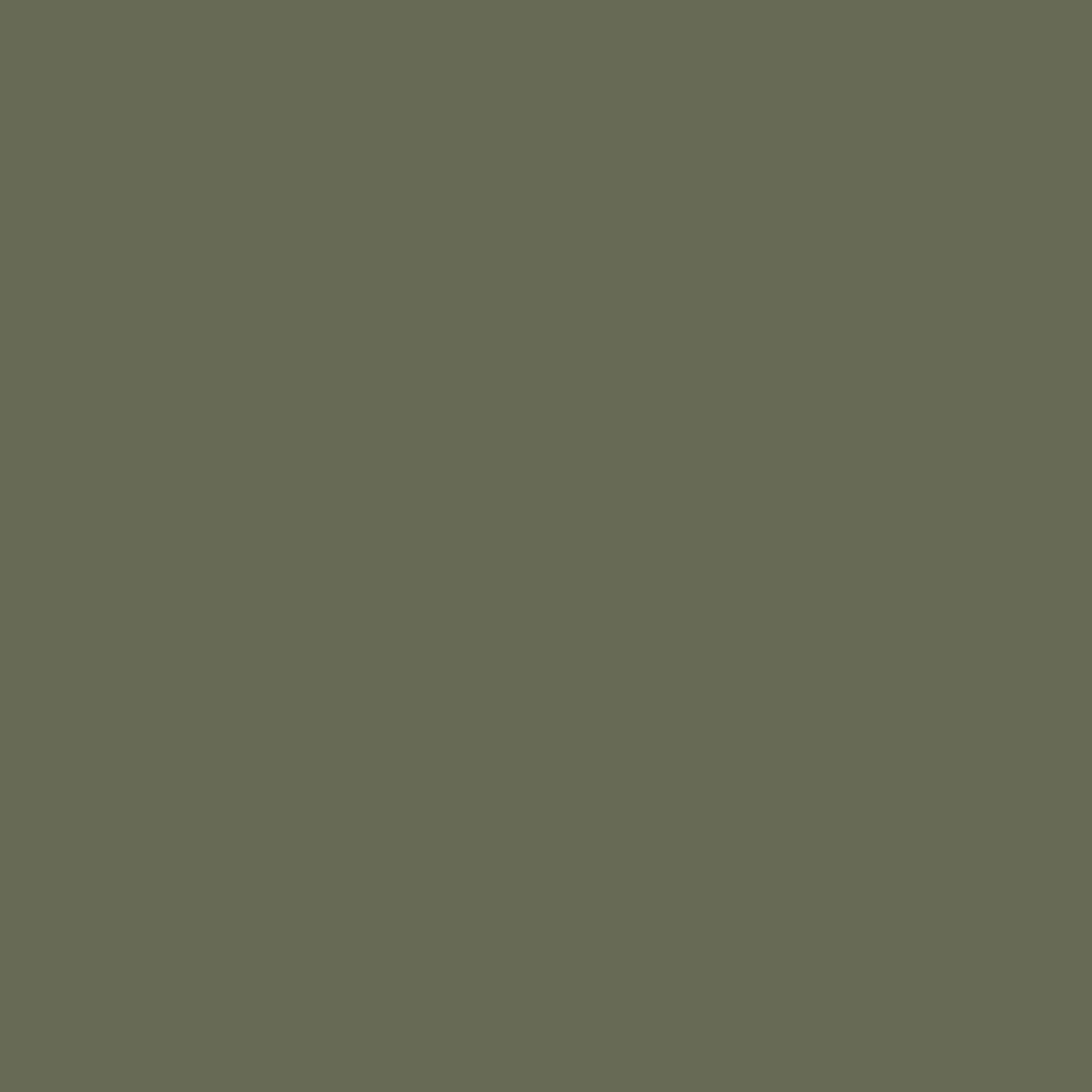 Pantone TPG Sheet 18-0316 Olivine