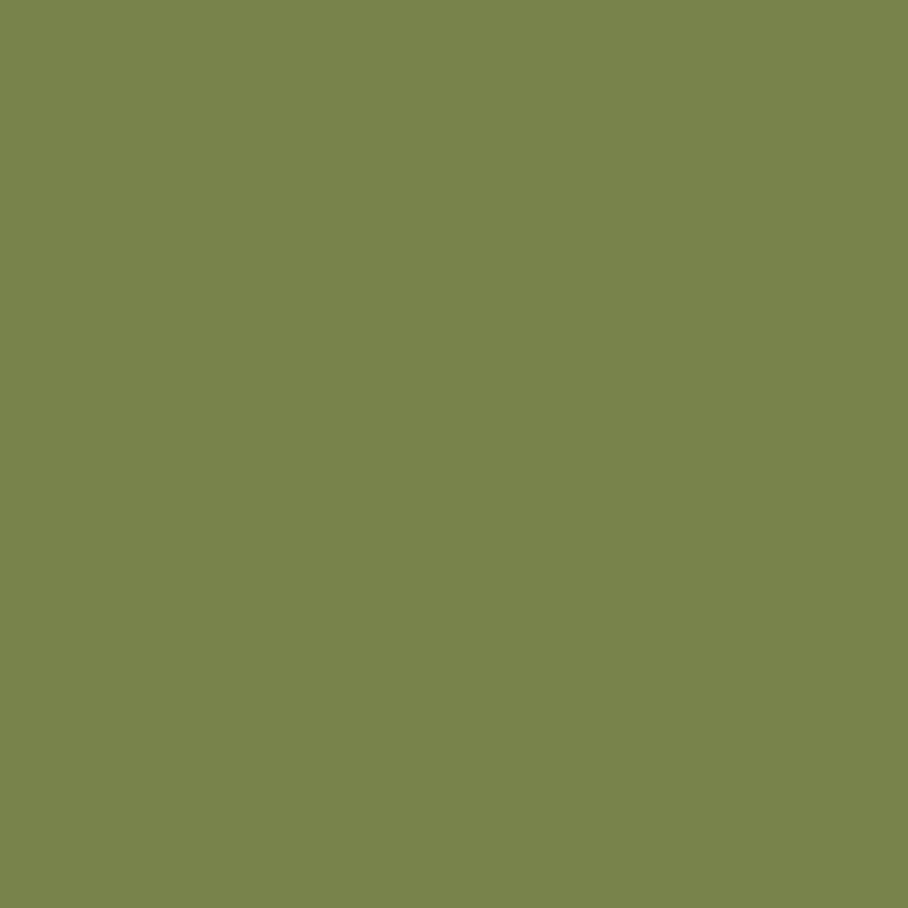 Pantone TPG Sheet 18-0332 Grasshopper