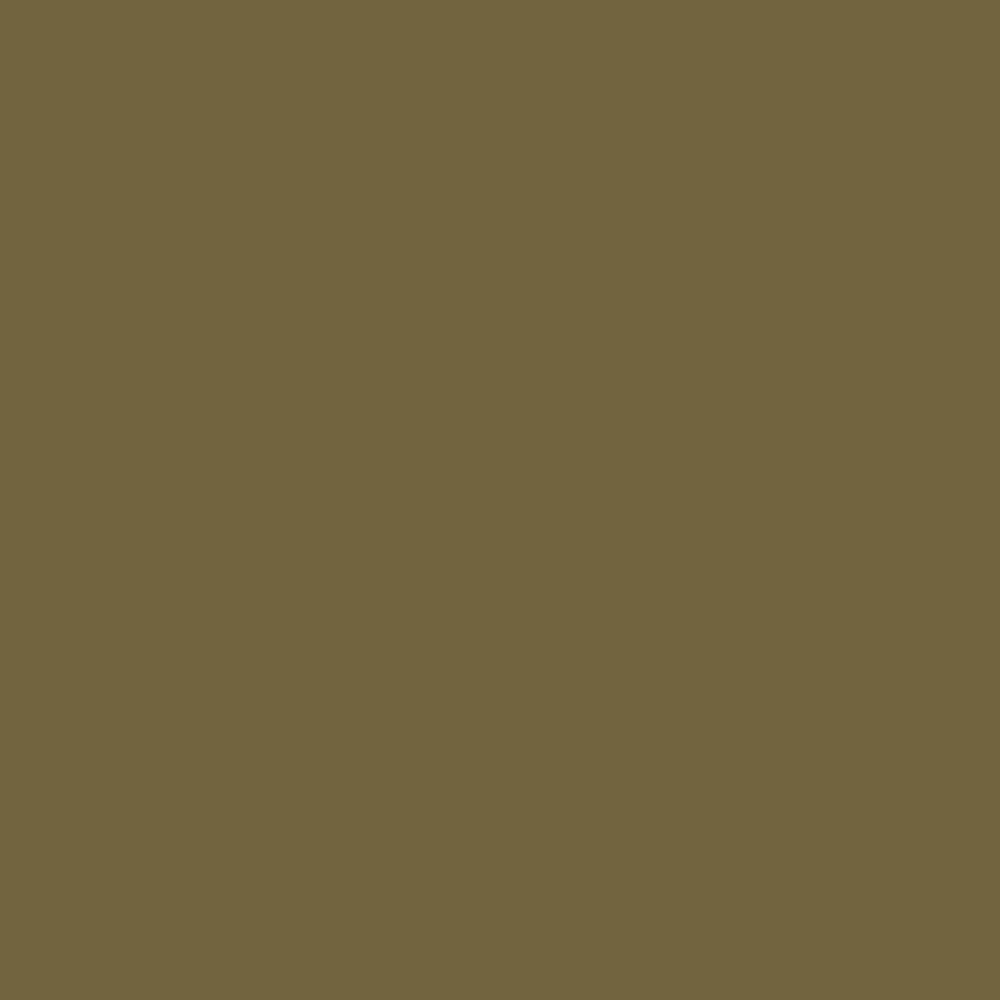 Pantone TPG Sheet 18-0629 Lizard