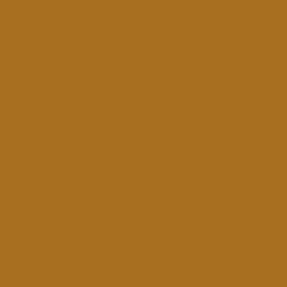 Pantone TPG Sheet 18-0935 Buckthorn Brown