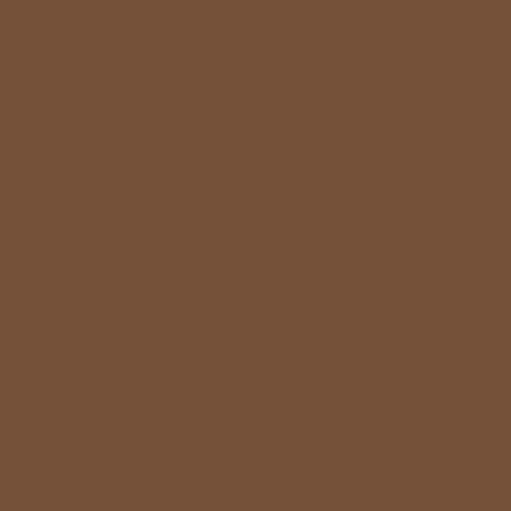 Pantone TPG Sheet 18-1031 Toffee