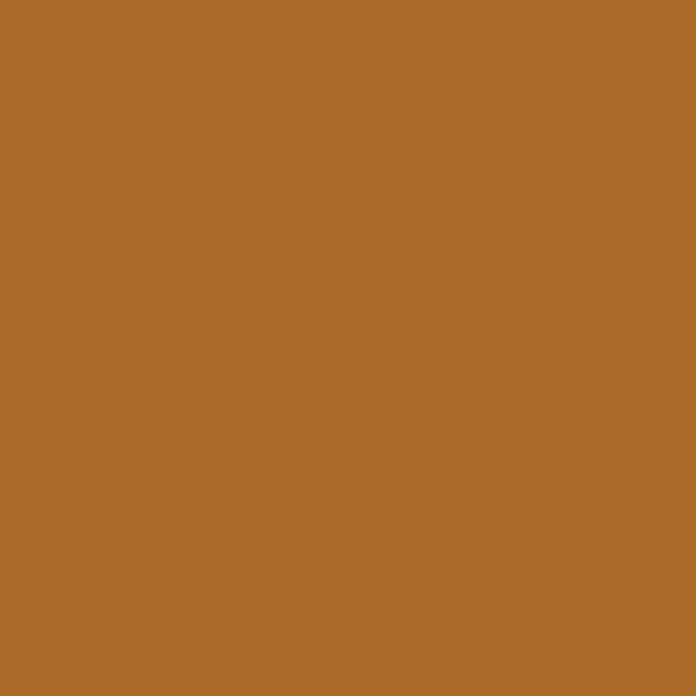 Pantone TPG Sheet 18-1160 Sudan Brown