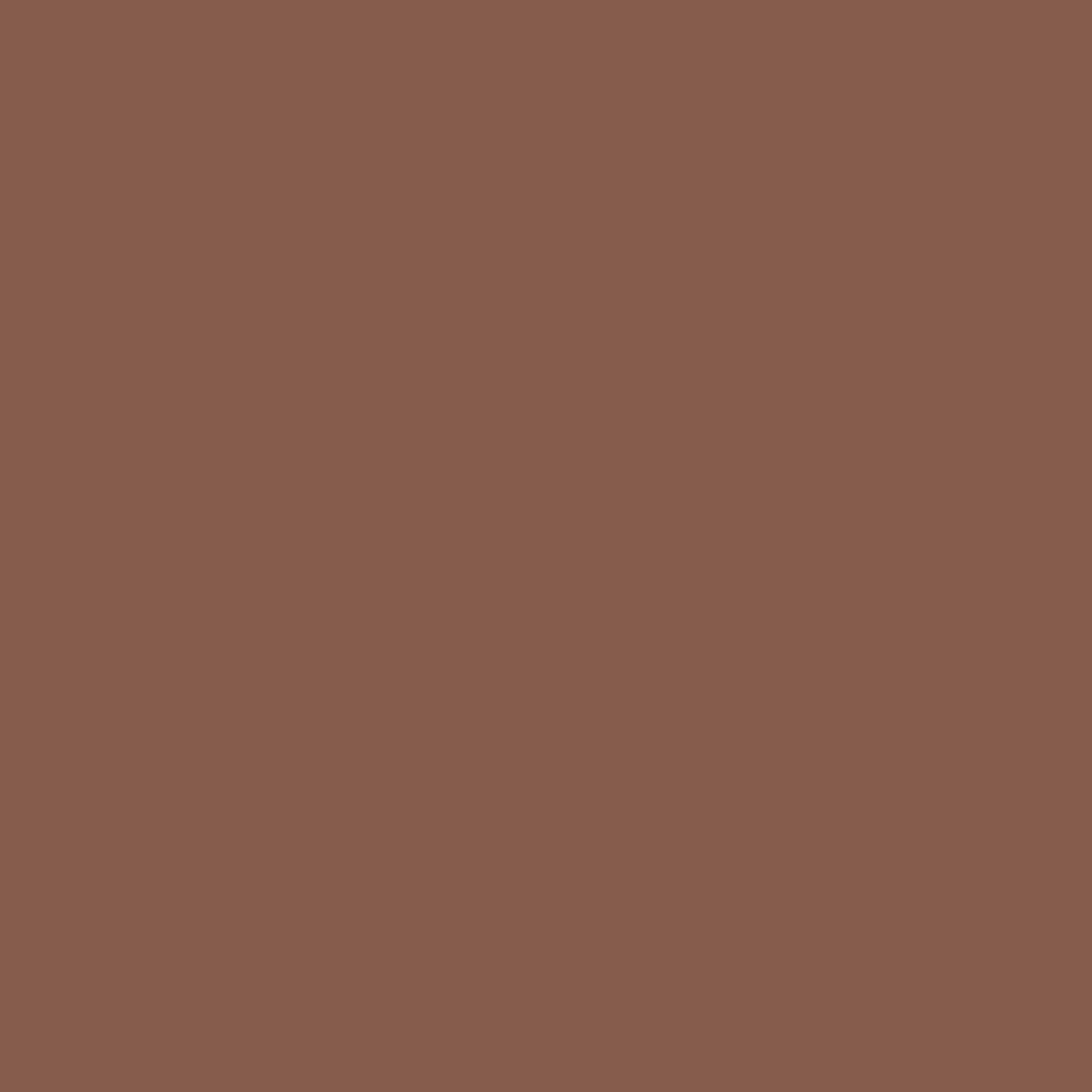 Pantone TPG Sheet 18-1229 Carob Brown