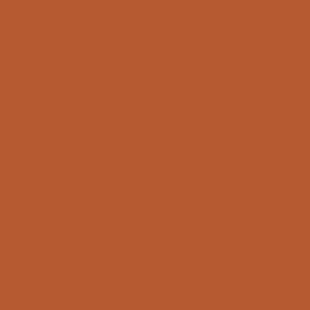 Pantone TPG Sheet 18-1248 Rust