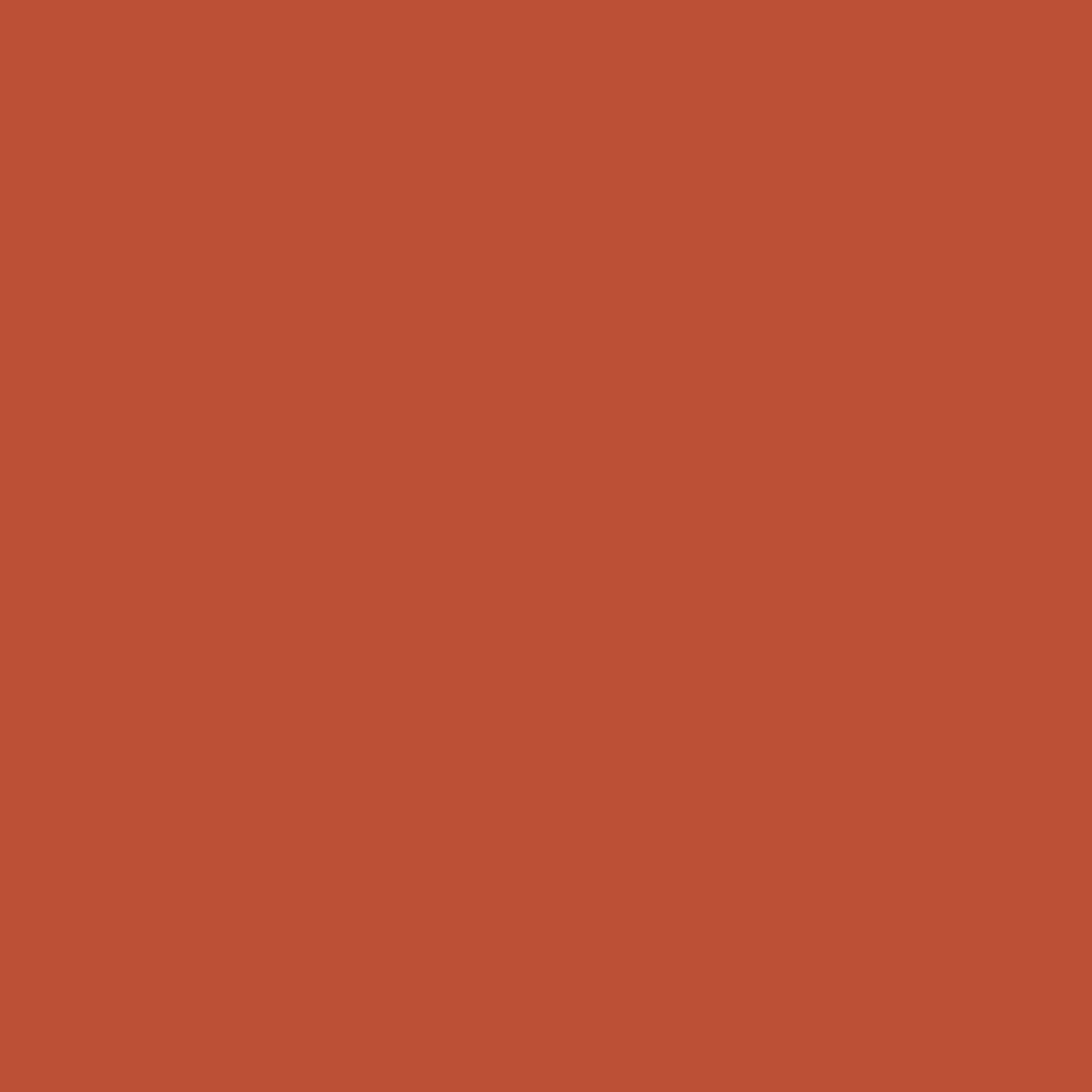 Pantone TPG Sheet 18-1354 Burnt Ochre