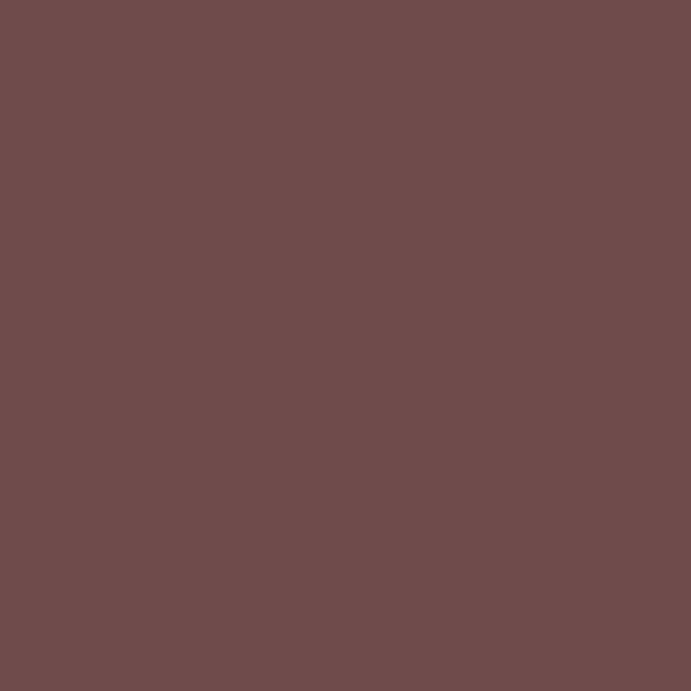 Pantone TPG Sheet 18-1415 Marron