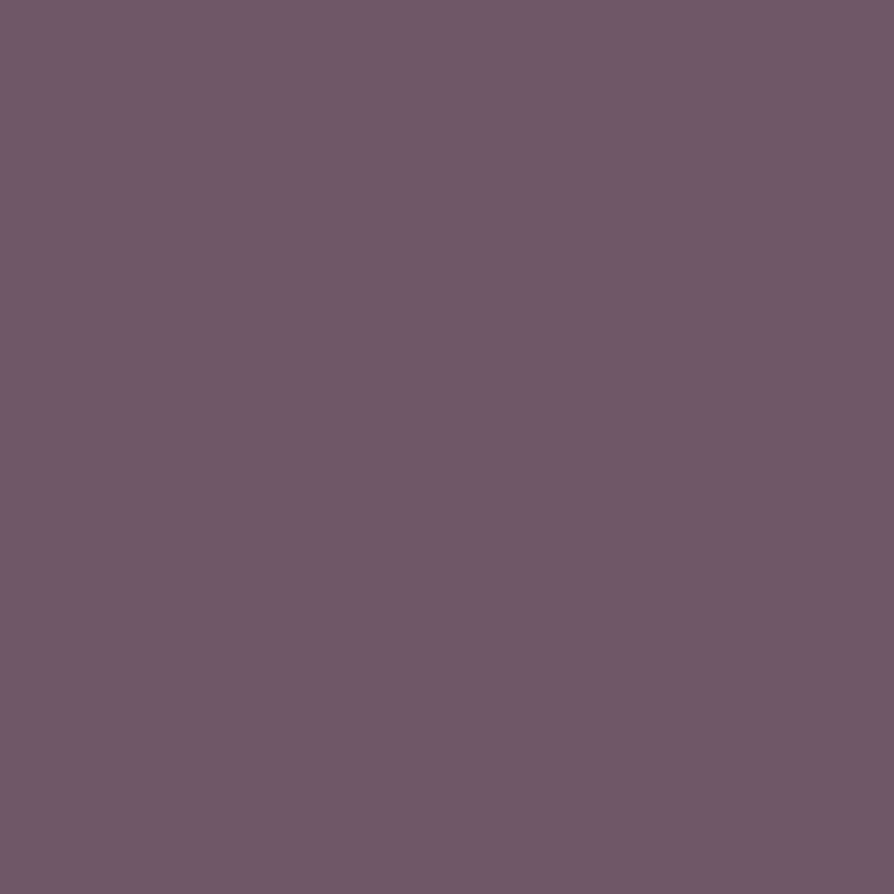 Pantone TPG Sheet 18-1706 Black Plum