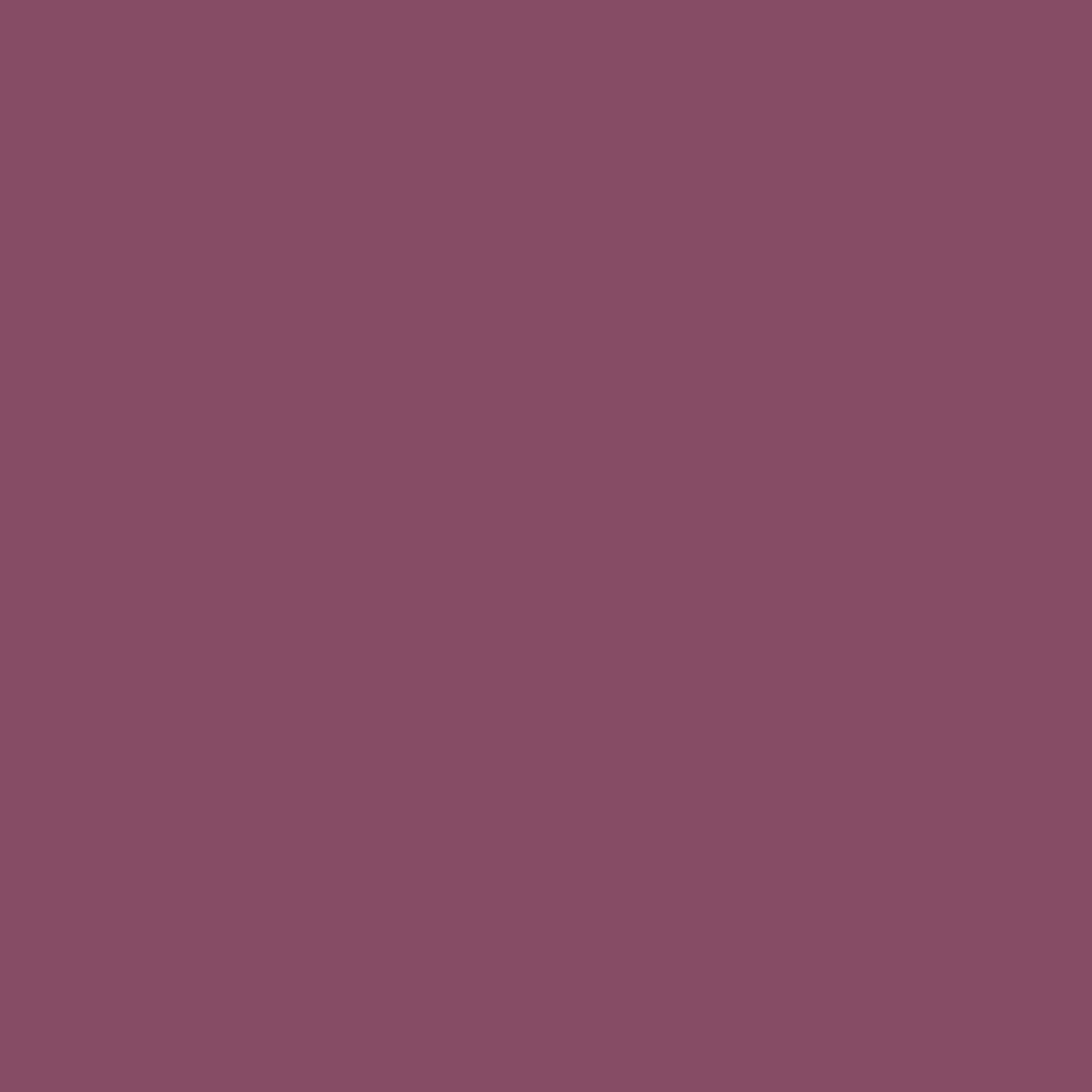 Pantone TPG Sheet 18-1716 Damson