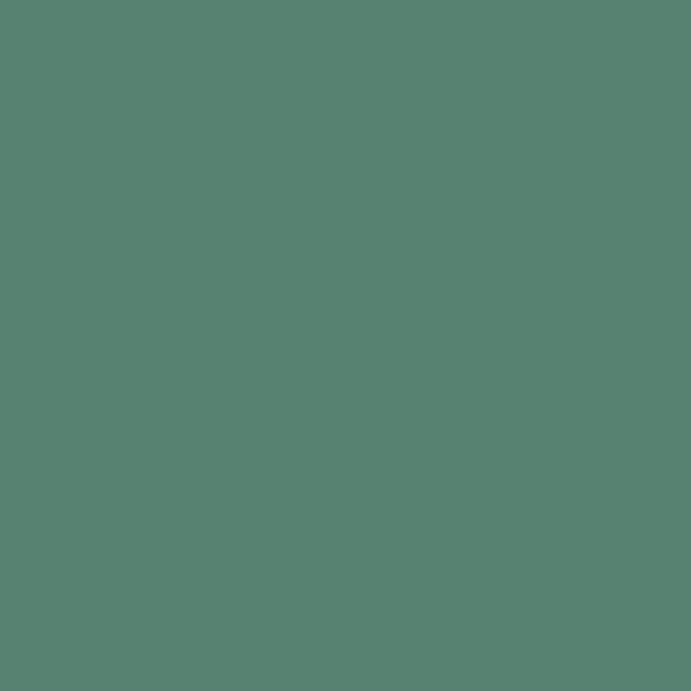 Pantone TPG Sheet 18-5622 Frosty Spruce