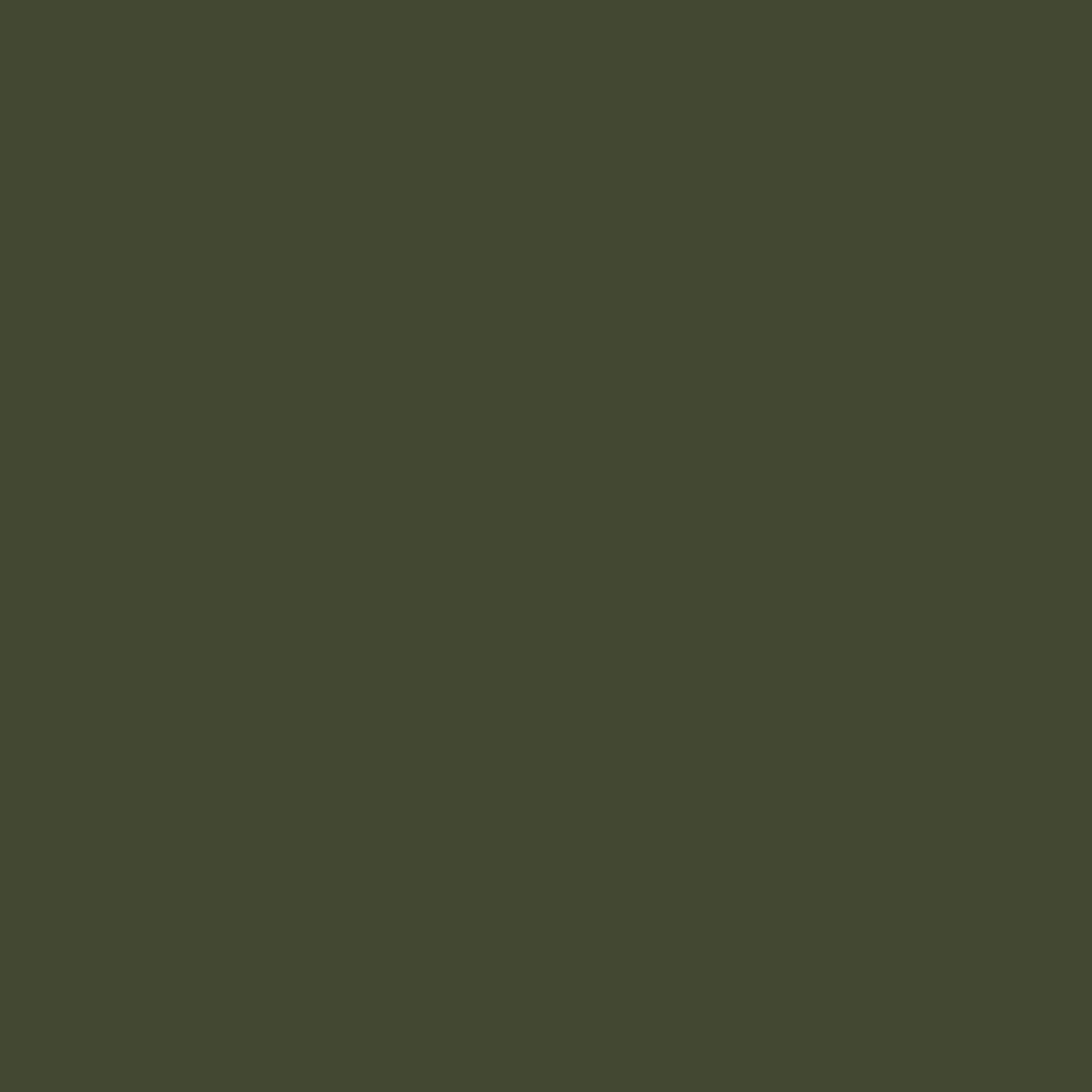 Pantone TPG Sheet 19-0419 Rifle Green