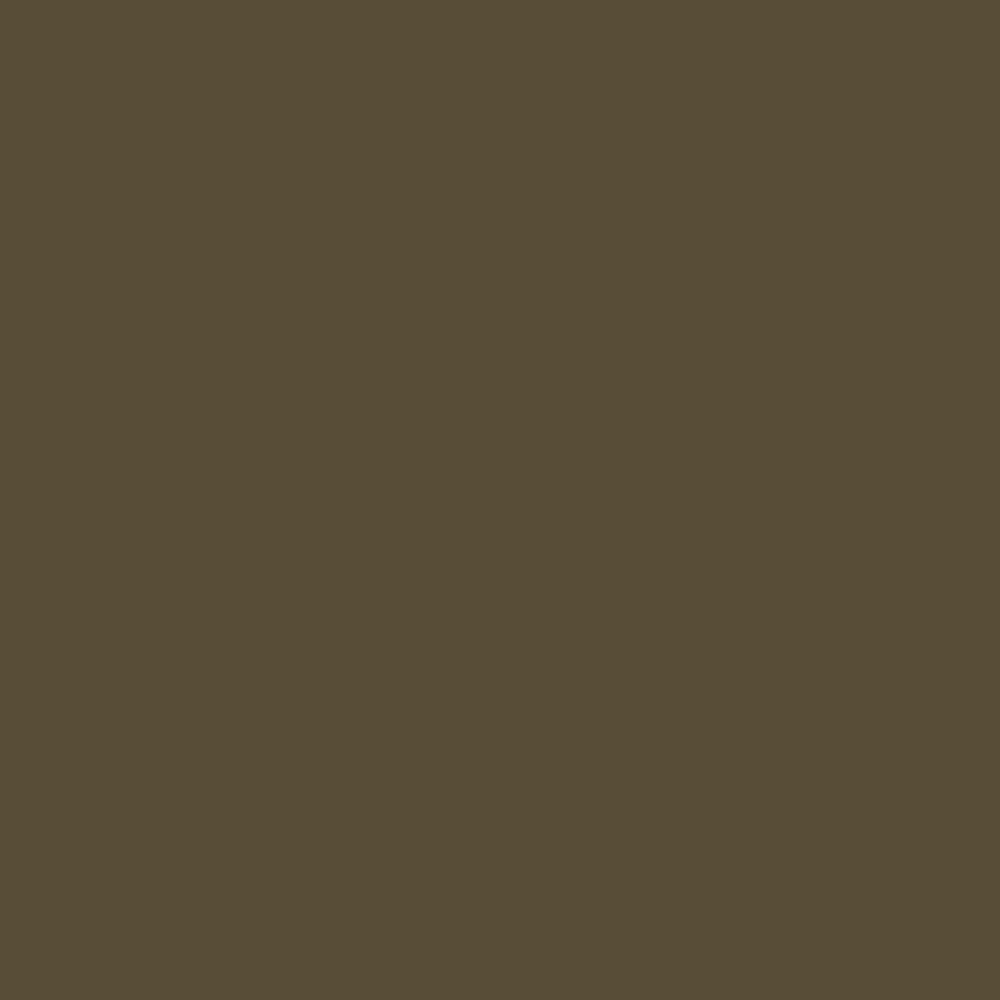 Pantone TPG Sheet 19-0516 Dark Olive