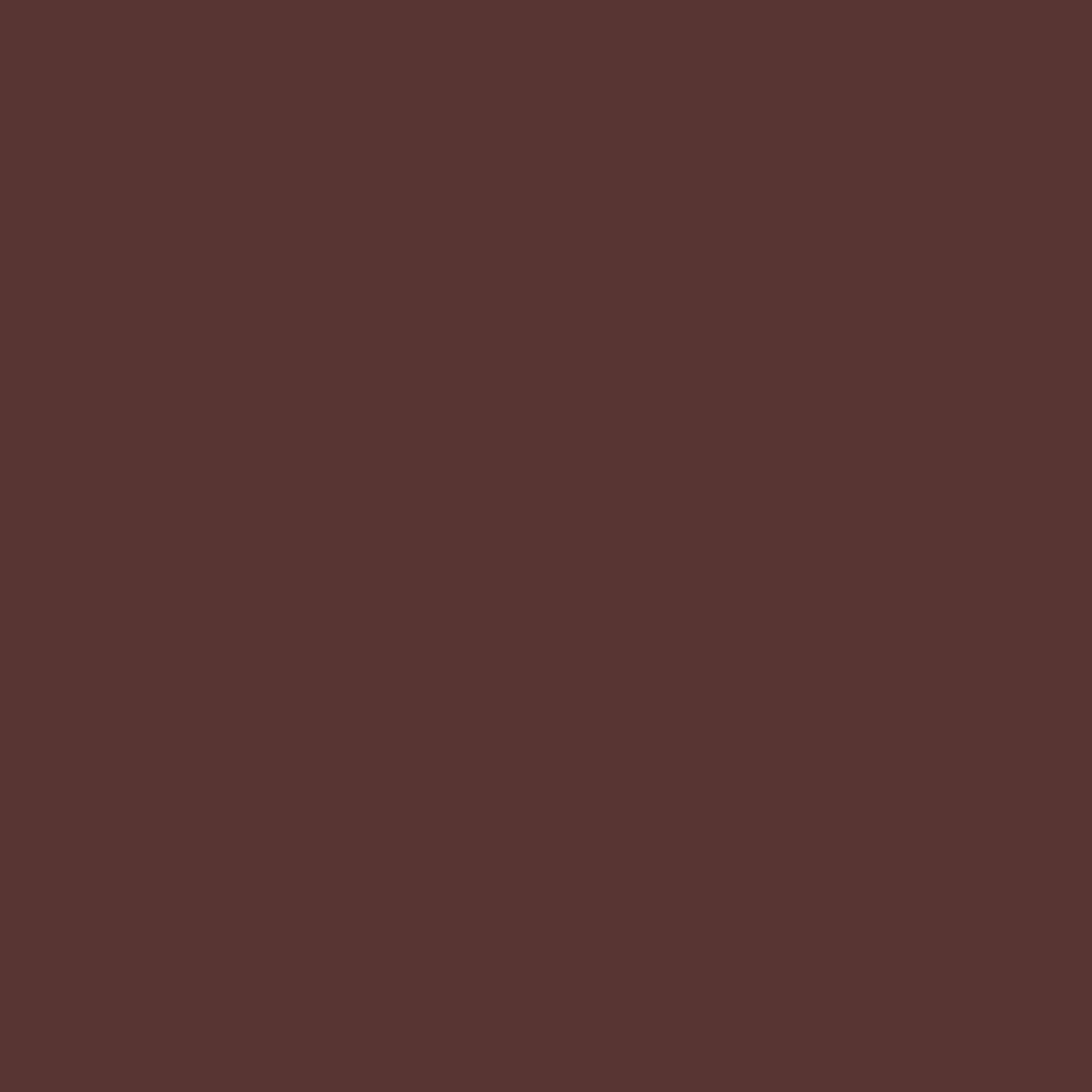 Pantone TPG Sheet 19-1321 Rum Raisin