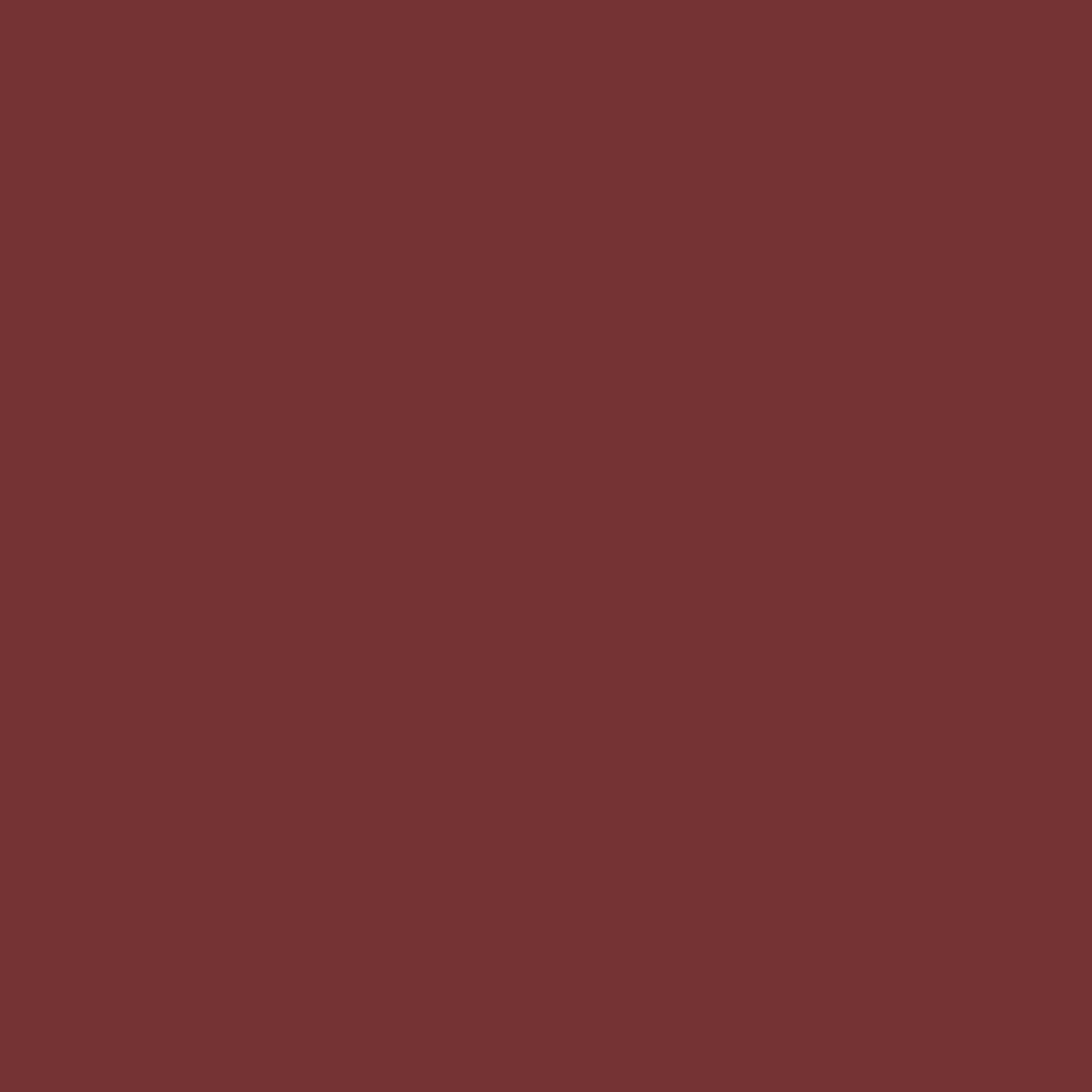 Pantone TPG Sheet 19-1338 Russet Brown