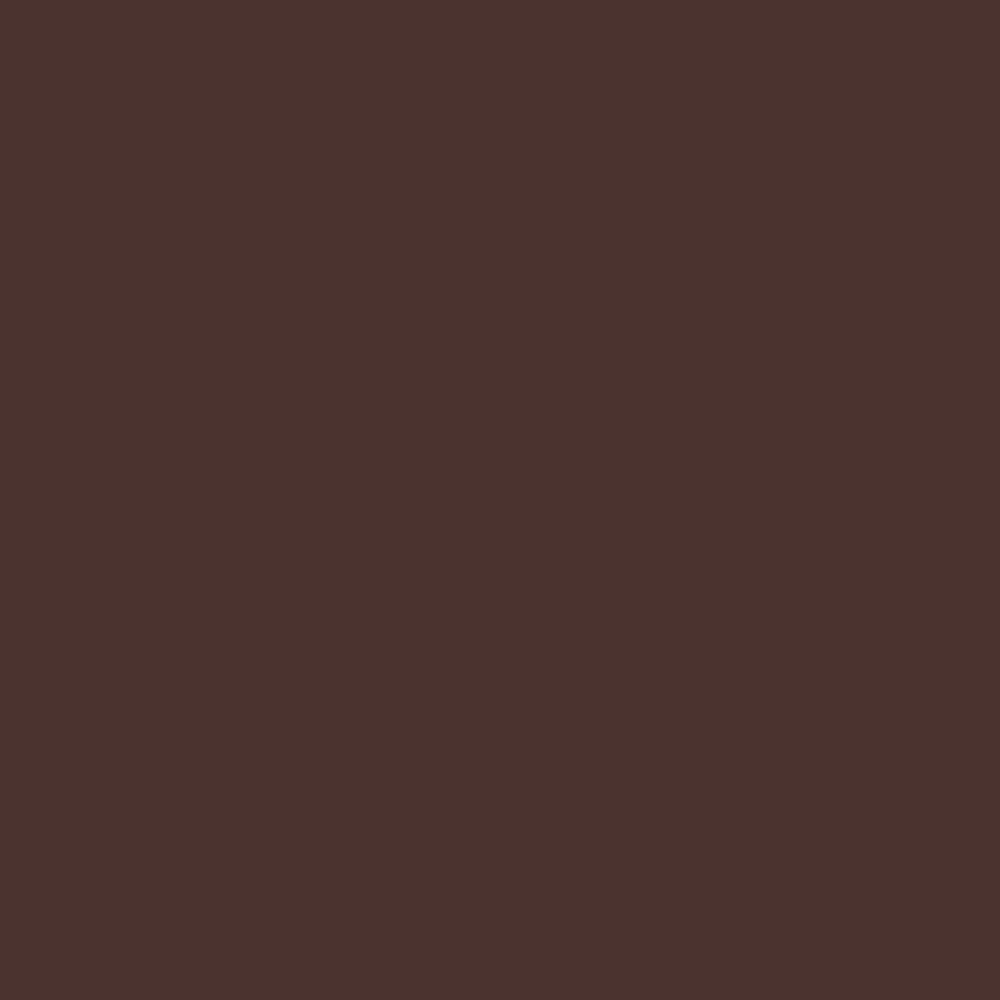 Pantone TPG Sheet 19-1419 Chicory Coffee