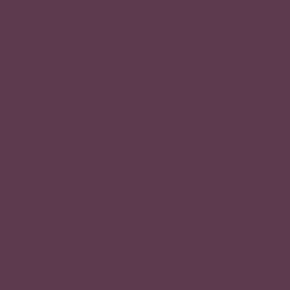 Pantone TPG Sheet 19-1606 Raisin