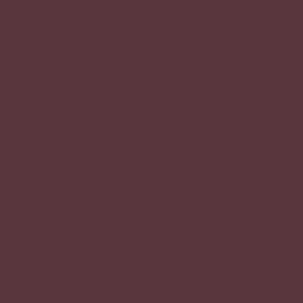 Pantone TPG Sheet 19-1623 Vineyard Wine