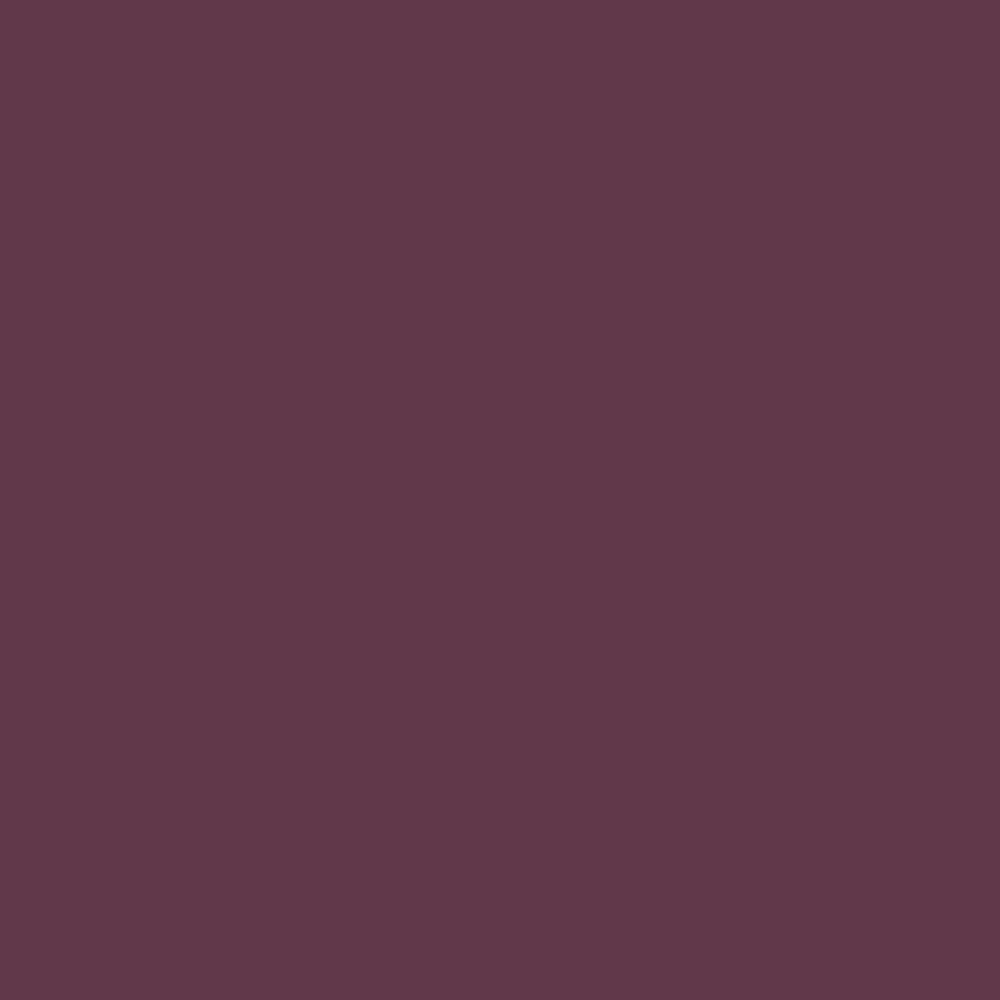 Pantone TPG Sheet 19-2014 Prune