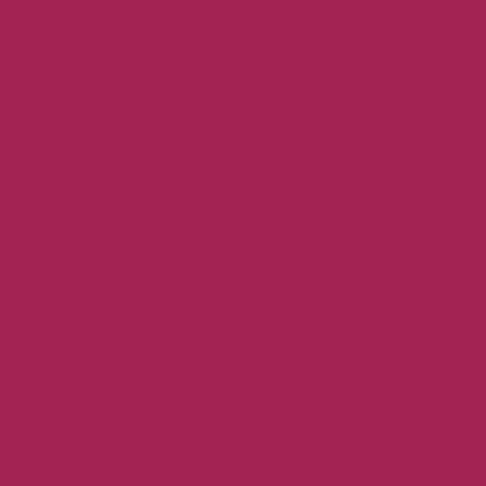 Pantone TPG Sheet 19-2041 Cherries Jubilee