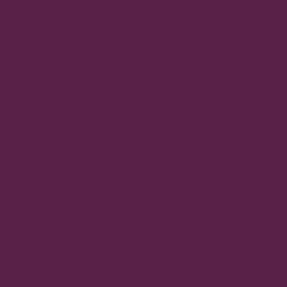 Pantone TPG Sheet 19-2524 Dark Purple