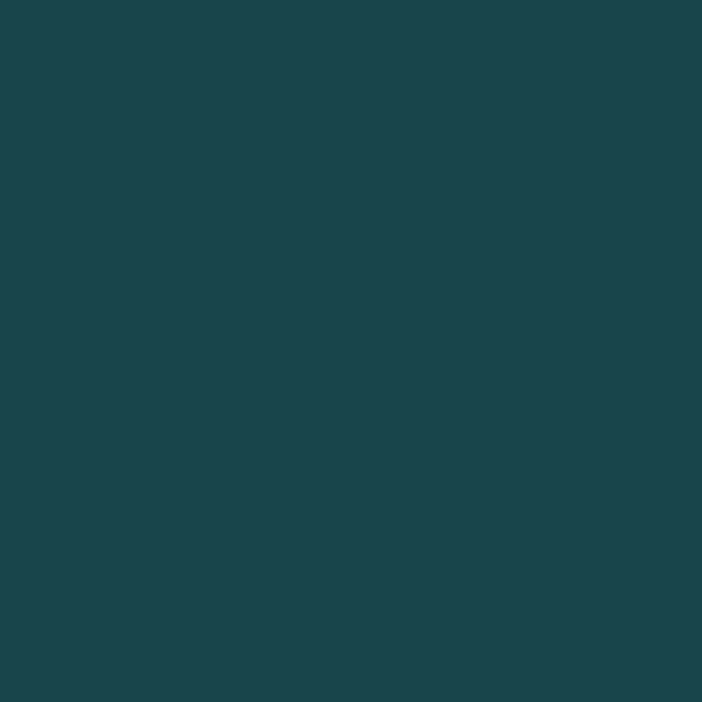 Pantone TPG Sheet 19-4914 Deep Teal