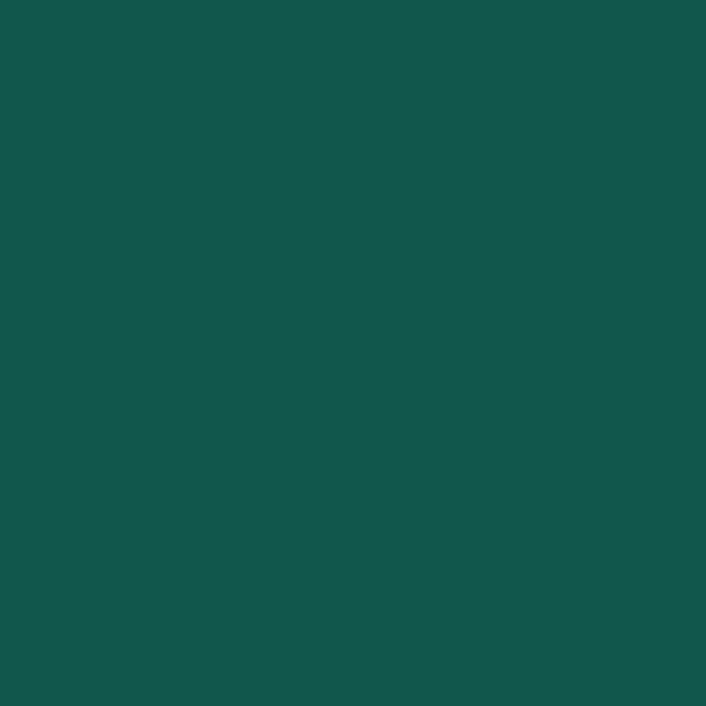 Pantone TPG Sheet 19-5420 Evergreen