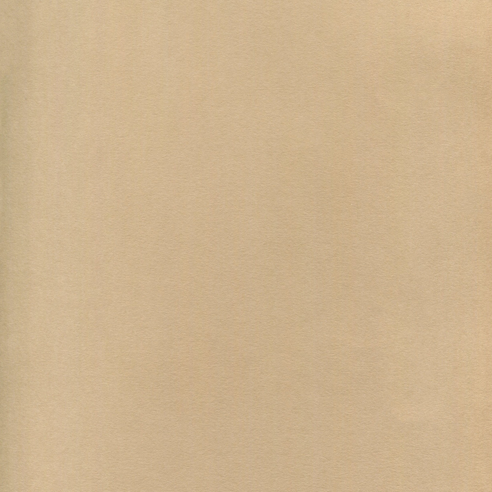 Nova Series 22x30 Sheet 5-pack Beige