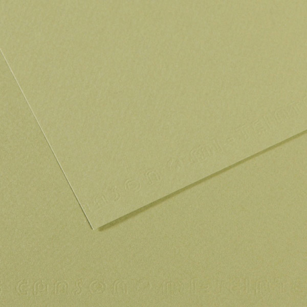 Mi-Teintes Paper 19.5X25.5 480 Light Green
