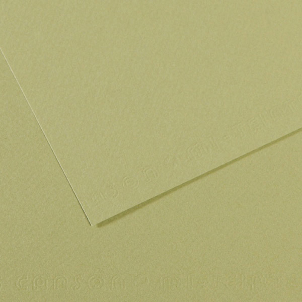 Mi-Teintes Paper 19.5X25.5 480 Light Green