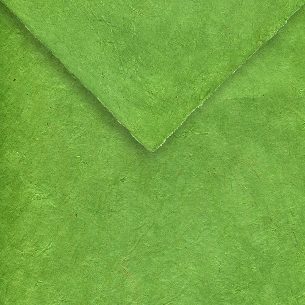 Paper Nepal Lokta Apple Green 20X30