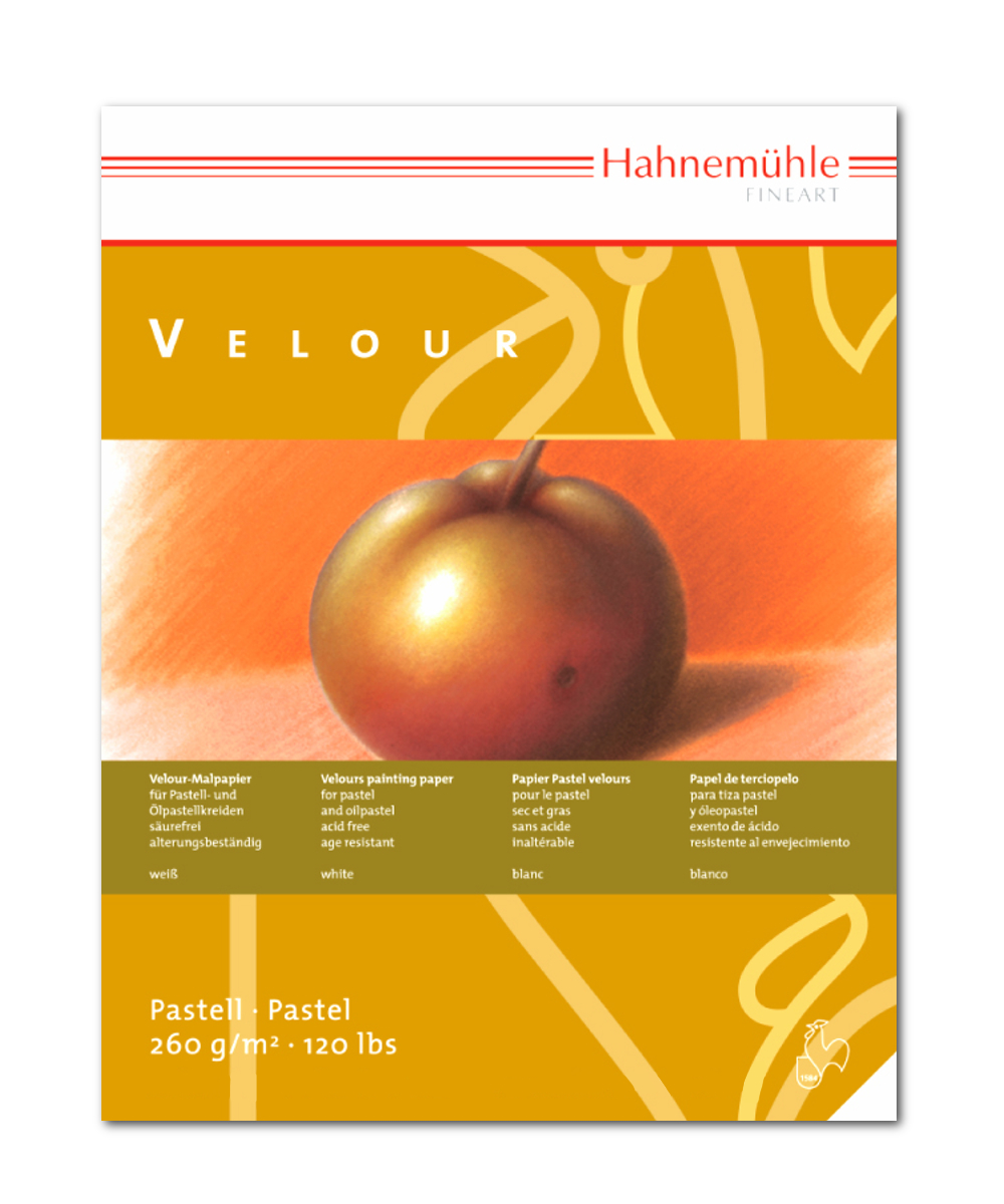 Hahnemuhle Pastel Velour Pad 11.7x15.6 Inches