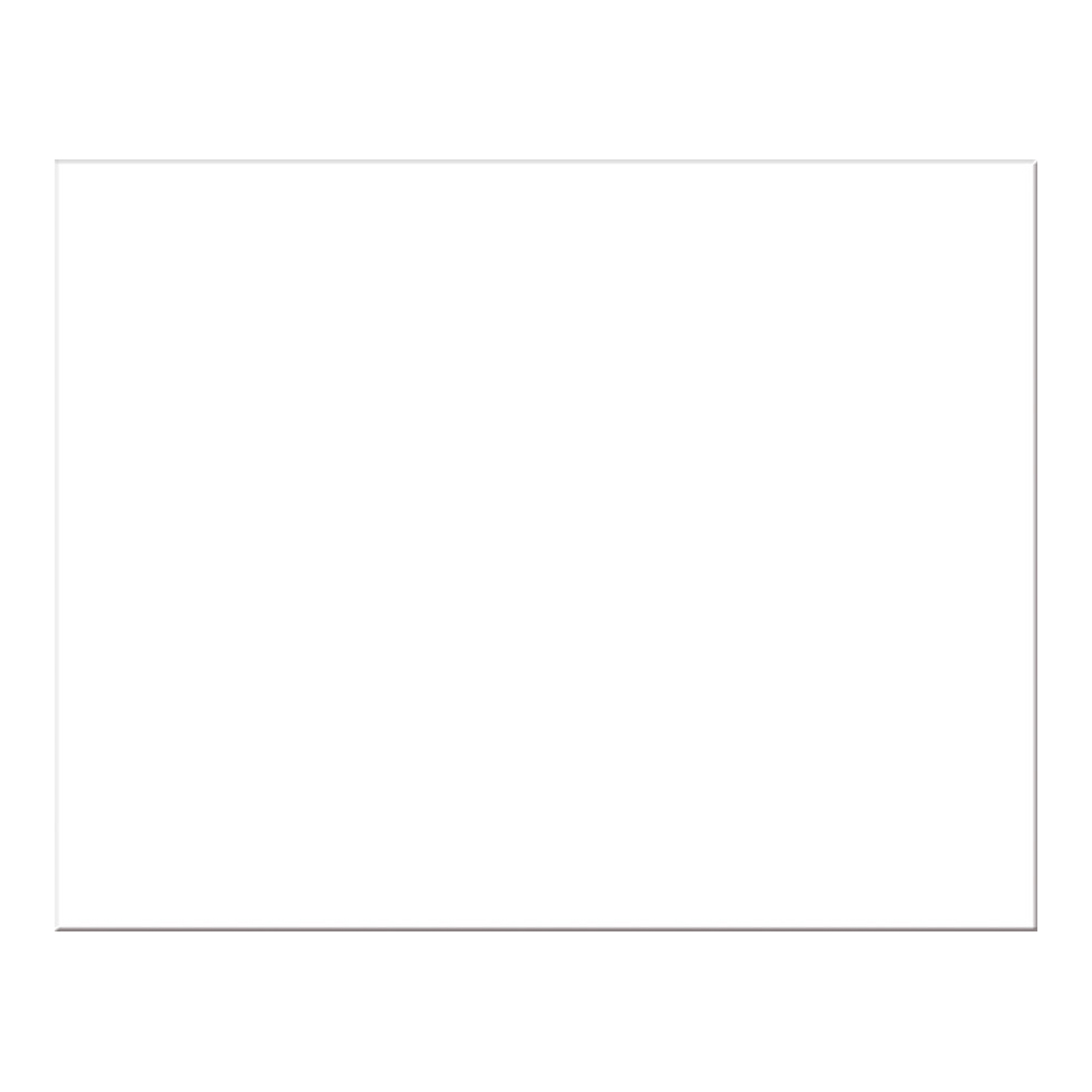 Premium Poster Board White 22X28