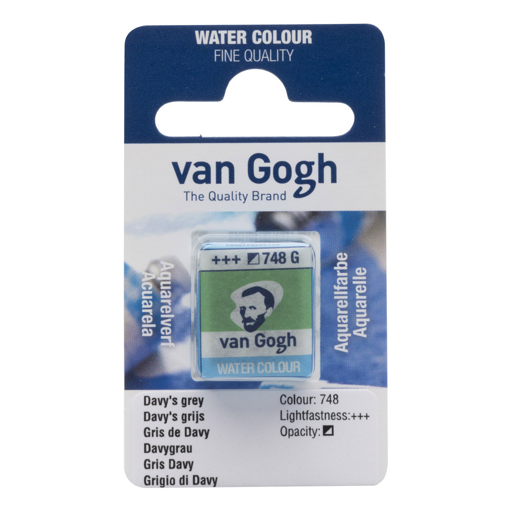 Van Gogh Watercolor Half Pan Davy's Grey